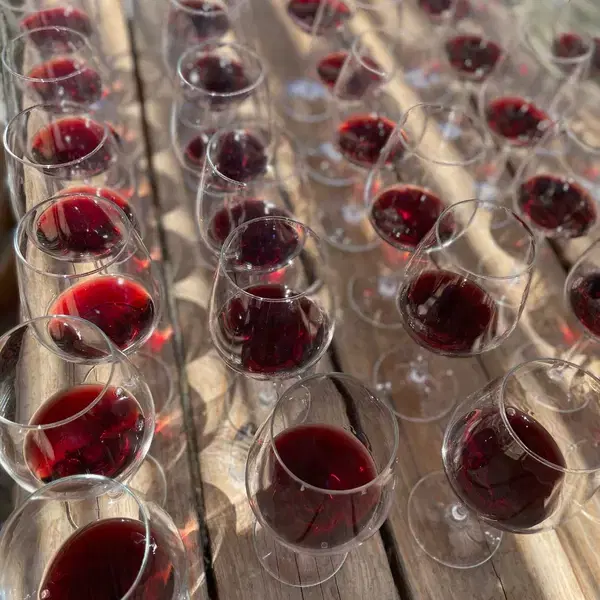 Cata de 3 vinos en Las Pudencianas
